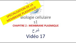 biologie cellulaire s1 vidéo 017  la membrane plasmique شرح [upl. by Goltz]