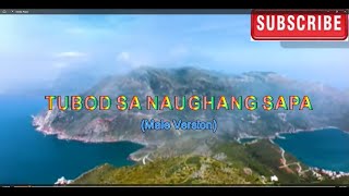 TUBOD SA NAUGHANG SAPA KARAOKE MALE VERSION [upl. by Ruhnke283]