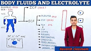 BODY FLUIDS EXTRACELLULAR AND INTRACELLULAR FLUIDS [upl. by Ylas]