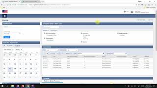 NetSuite SuiteFlow Workflow [upl. by Fransis]