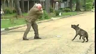 SHOCKING Dog Attack Brave Guy Fights Vicious Dog [upl. by Hussein]