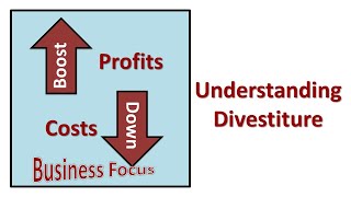 Understanding Divestiture [upl. by Kolva]