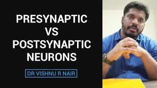 Presynaptic vs Postsynaptic neurons  docvishnu [upl. by Trillbee]