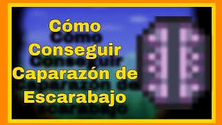 Cómo Conseguir Caparazones de Escarabajo  Guía Terraria 143 [upl. by Inaleon]