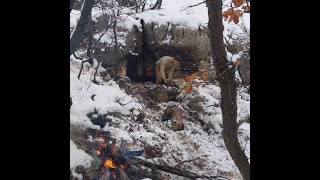 Winter Camping in Stone Shelter on Mountain Top [upl. by Ahsiam]