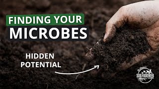 3Steps to Rapid Soil Regeneration Part 1 Finding the Beneficial Microbes in your Location [upl. by Lorolla441]