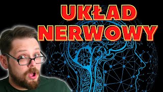 Budowa i rola układu nerwowego cz1 Podział układu ośrodkowy obwodowy autonomiczny i somatyczny [upl. by Dorcia]