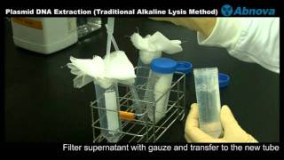 Plasmid DNA Extraction Traditional Alkaline Lysis Method [upl. by Itsrik191]