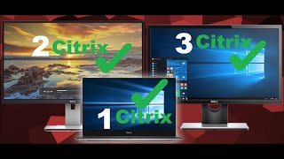 Use multiple monitors in Citrix application  Updated 2022  with resolution issue fix [upl. by Undry812]