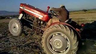 Massey Ferguson 135 Tarladan Pancar Çıkarıyor part3 [upl. by Atoked]