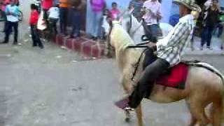 cabalgata en cienaga de oro [upl. by Yardley]