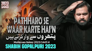 Nohay 2023  Pattharon Se War Karte Hain  Shabih Gopalpuri Noha 2023  New Noha 2023  Bibi Sakina [upl. by Aynekat]