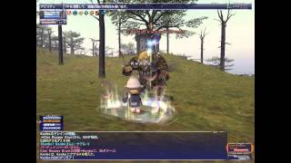 FF11 白ソロでカンパニエバトル  FF11 Campaign battle WHM Solo play [upl. by Oralie306]