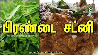 Pirandai ChutneyPirandai Thuvaiyalபிரண்டை சட்னி Sattur Parambariya Samayal [upl. by Rego869]