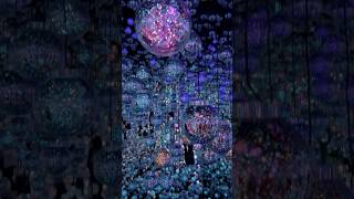 Visiting TeamLab Tokyo Borderless museum [upl. by Shaffer350]