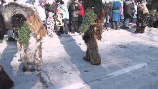 Freienbach  Fasnacht 2012 Take 02 [upl. by Leanard]