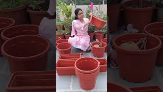 Gardening Pots and Products Shopping with Price shorts [upl. by Sone]