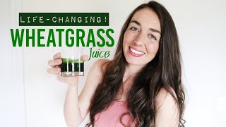 Wheat grass juice Personal benefits  Life Changing [upl. by Curley]