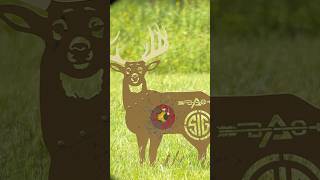 Compound bow vs Steel target hushlife elkcountry deer bowhunting [upl. by Lesly]