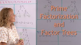 Prime factorization and factor trees [upl. by Slein]