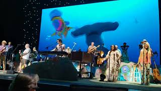 quotFinsquot Jimmy Buffett and the Coral Reefer Band April 23 2022 in Raleigh [upl. by Barron]