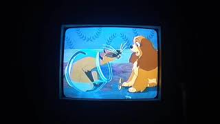 Lady and the Tramp 1955  The Siamese Cat Song [upl. by Inajna]