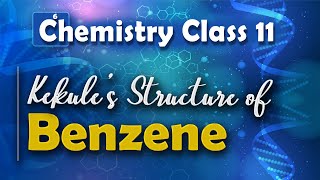 Kekule’s Structure of Benzene  Aromatic Compounds  Chemistry Class 11 [upl. by Luise]