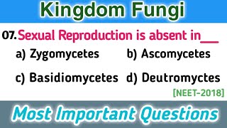 fungi mcq  classification of fungi  biological classification mcq [upl. by Enoitna576]