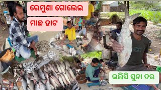 Balasore ନୂଆ ବଜାର ଠୁ ବି ଭେରାଇଟି ମାଛ Remuna golei ମାଛ ହାଟ 🐟🦐 \ Balasore \ଇଲିସି ସୁନା ଦର \ [upl. by Oralee]