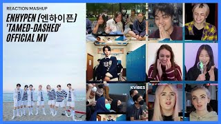 ENHYPEN 엔하이픈 TamedDashed Official MV Reaction Mashup [upl. by Rfinnej979]