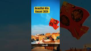 10 Tawa Big Beautiful Kite Flying  Rawalpindi Basant 2024 basant2024 [upl. by Bergeron968]