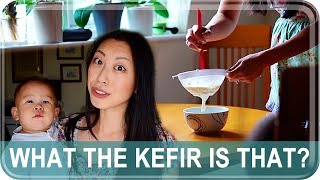 How to Make Kefir Healthy Probiotic Yogurt  The Postmodern Mom [upl. by Kaslik788]