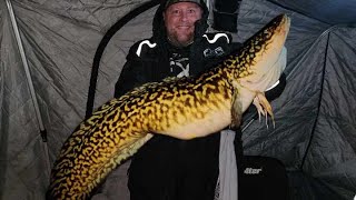 LAKE SIMCOE ICE FISHING NEW Ontario Record BURBOT [upl. by Ditter716]