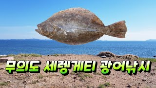 인천 무의도 세렝게티 포인트 진입방법  광어낚시 포인트 탐사  flatfish fishing [upl. by Therese]