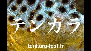 tenkara fest 2017 [upl. by Haff953]