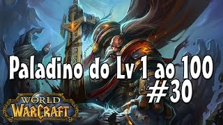 WoW  UPANDO UM CHAR  30 lvl 96  Poção de XP [upl. by Groscr768]