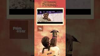 Pariyans life Pariyerum Perumal  Tamil Movie  Kathir  Anandhi trending mariselvaraj shorts [upl. by Novyat]