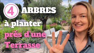 4 arbres à planter près d’une terrasse sans risques avec les racines [upl. by Hulbig]