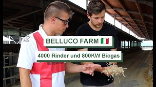 Intensive Landwirtschaft in der PoEbene  Bellucofarm [upl. by Ihcekn]