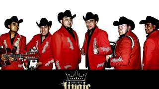 Conjunto Linaje Norteño  Provocame [upl. by Leunam866]