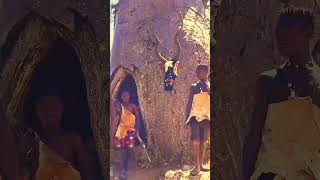 বাওবাব গাছ BAOBAB TREE 🚀 amazing shorts facts [upl. by Benoit]