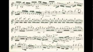 Haydn Joseph 4th violin concerto in Gdur [upl. by Weld]