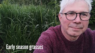 Early season grasses to try in your garden theres a grass to suit all gardens [upl. by Tteraj]