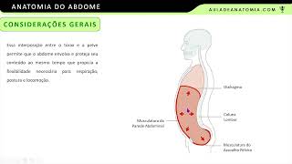 ANATOMIA DO ABDOME medicina medico anatomy anatomiaclinica anatomia cirurgiabariatrica [upl. by Merwin]