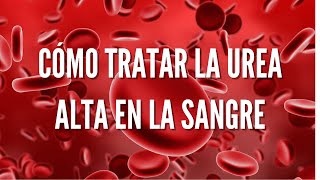 ¿Cómo se trata la urea alta en la sangre Síntomas causas prevención y tratamiento [upl. by Sivat]