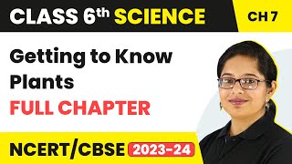 Getting to Know Plants Full Chapter Class 6 Science  NCERT Science Class 6 Chapter 7 [upl. by Iren]