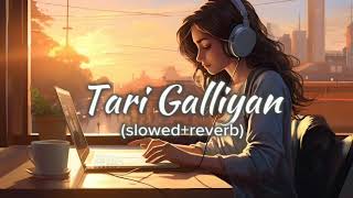 TariGalliyanlofisong👉slowedreverbsong lofi viralvideo‎LofiSongsv5f [upl. by Aklim]