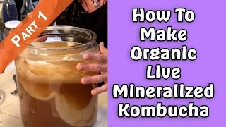 How To Make Organic Live Mineralized Kombucha Part 1  Dr Robert Cassar [upl. by Madson]