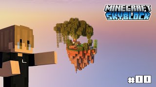 Découverte du MEILLEUR serveur SKYBLOCK  SeaSky 0 [upl. by Atipul]