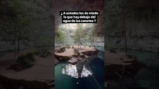 Cenote Sac Aua ¿Que habrá debajo del agua cenotes yucatán [upl. by Huesman535]